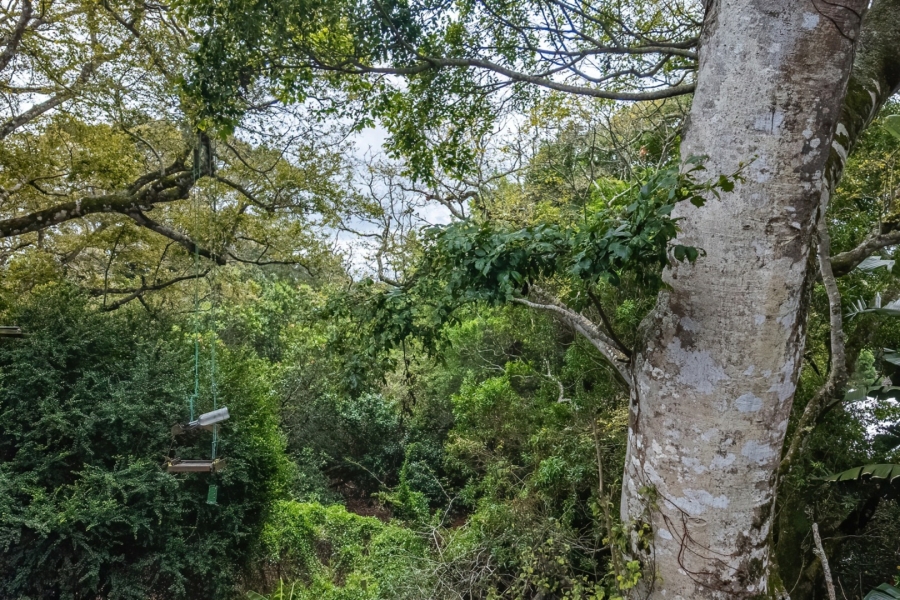 3 Bedroom Property for Sale in Brenton On Lake Western Cape